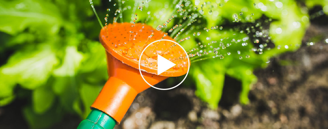 Learn more about Shared Earth