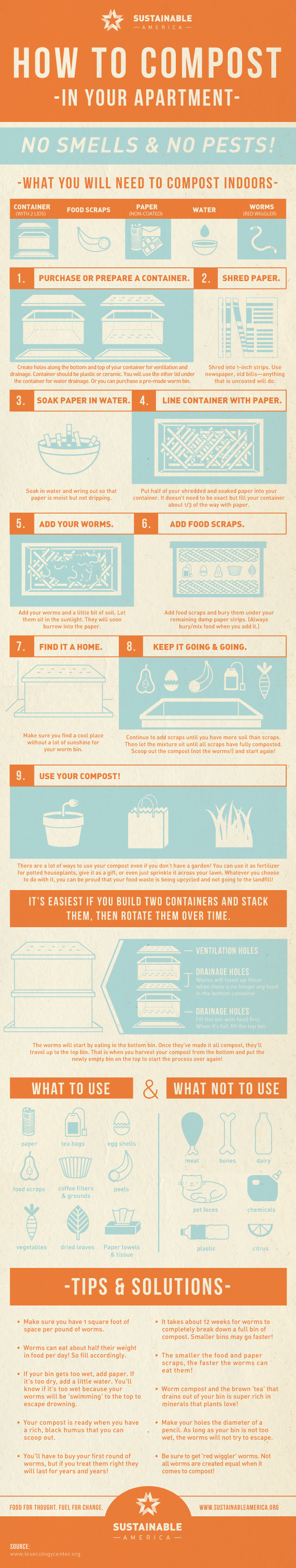 How to compost in your apartment infographic