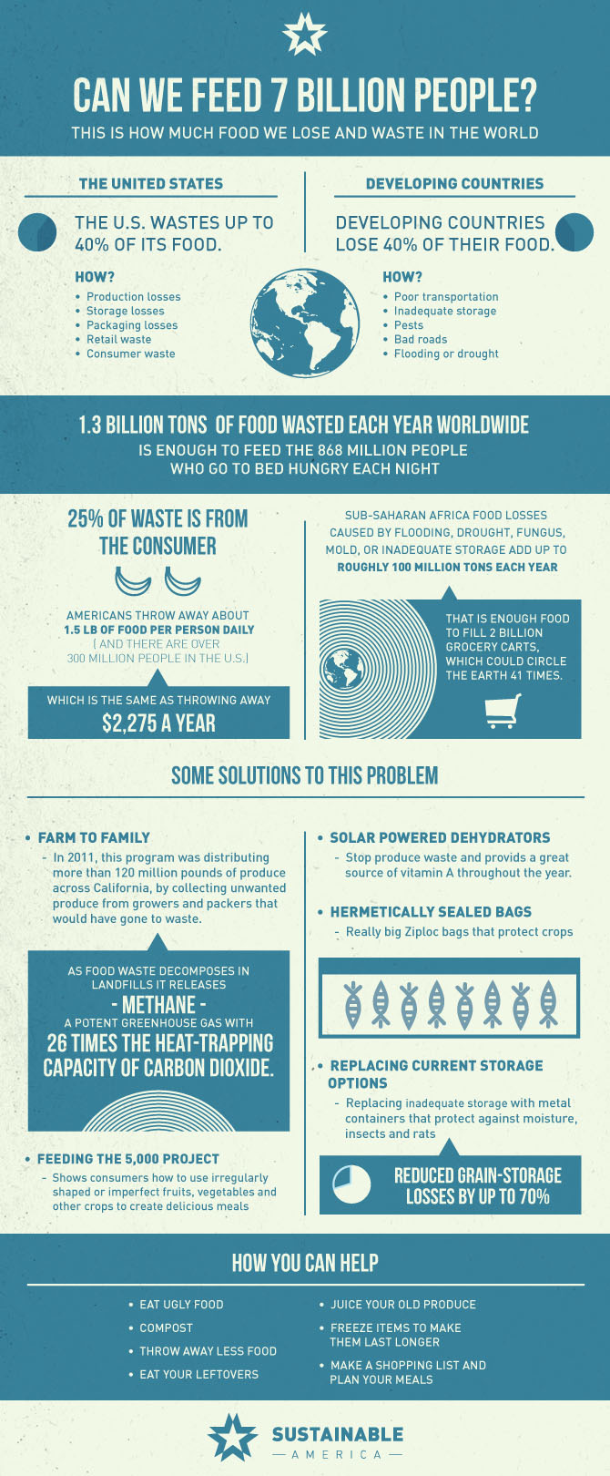 Food Waste Crisis Infographic