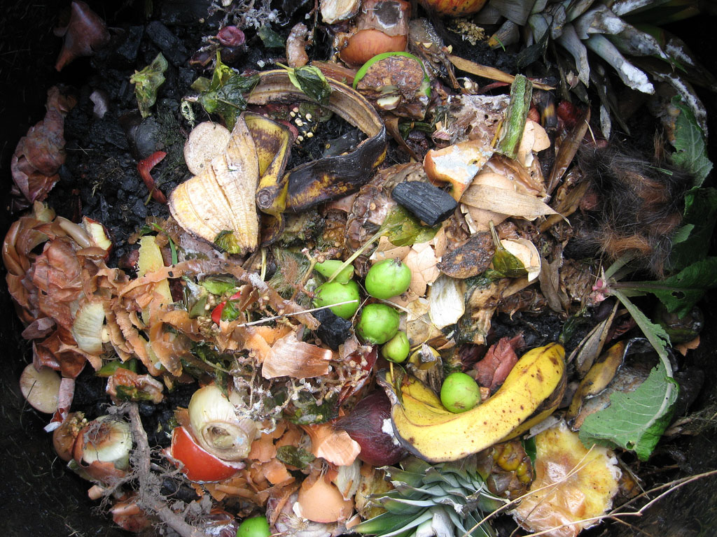 The Future Looks Bright for Compost Pioneers