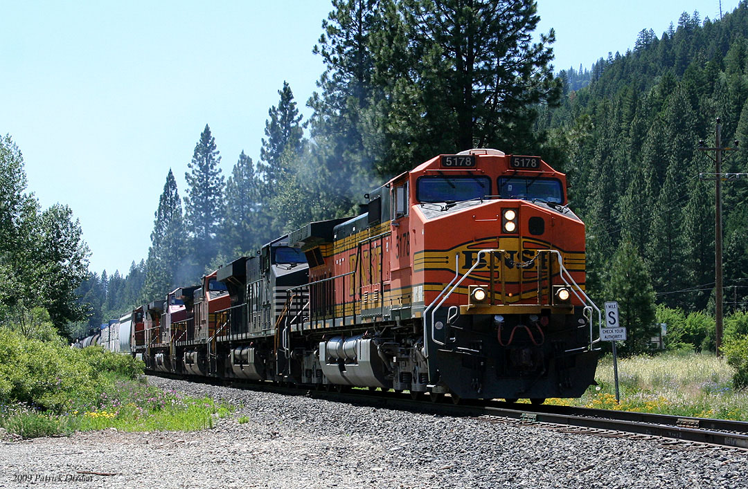 Major U.S. Railway May Ditch Diesel