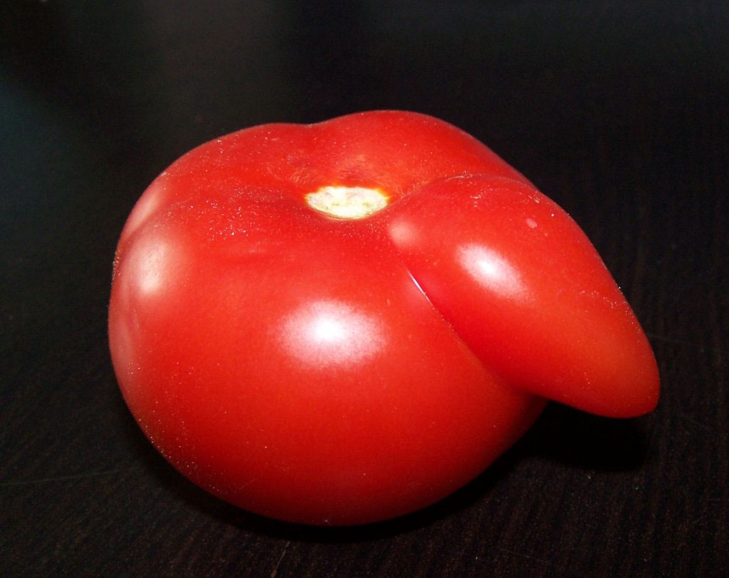 "Ugly" Produce Can Be A Beautiful Thing