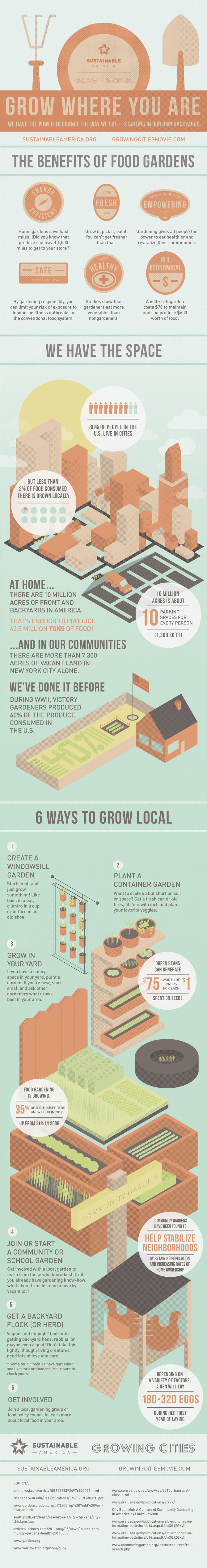 Grow Where You Are Information Graphic