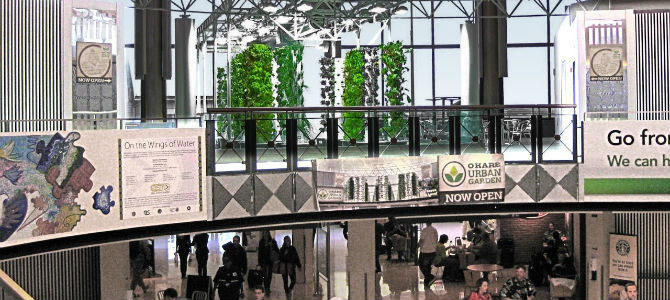 O'Hare Airport's aeroponic garden