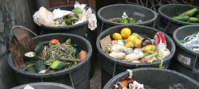 Sign the Petition: Help End Food Waste