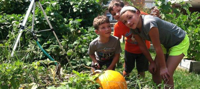 Growing a Generation of More Informed Eaters, Through Gardening