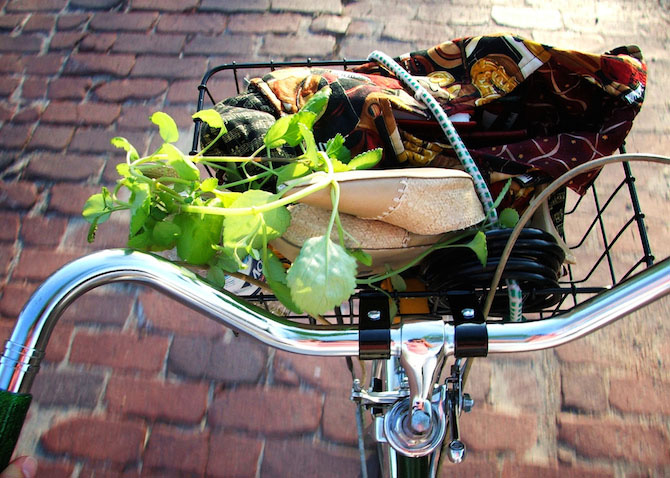 bike basket with groceries and shoes in it