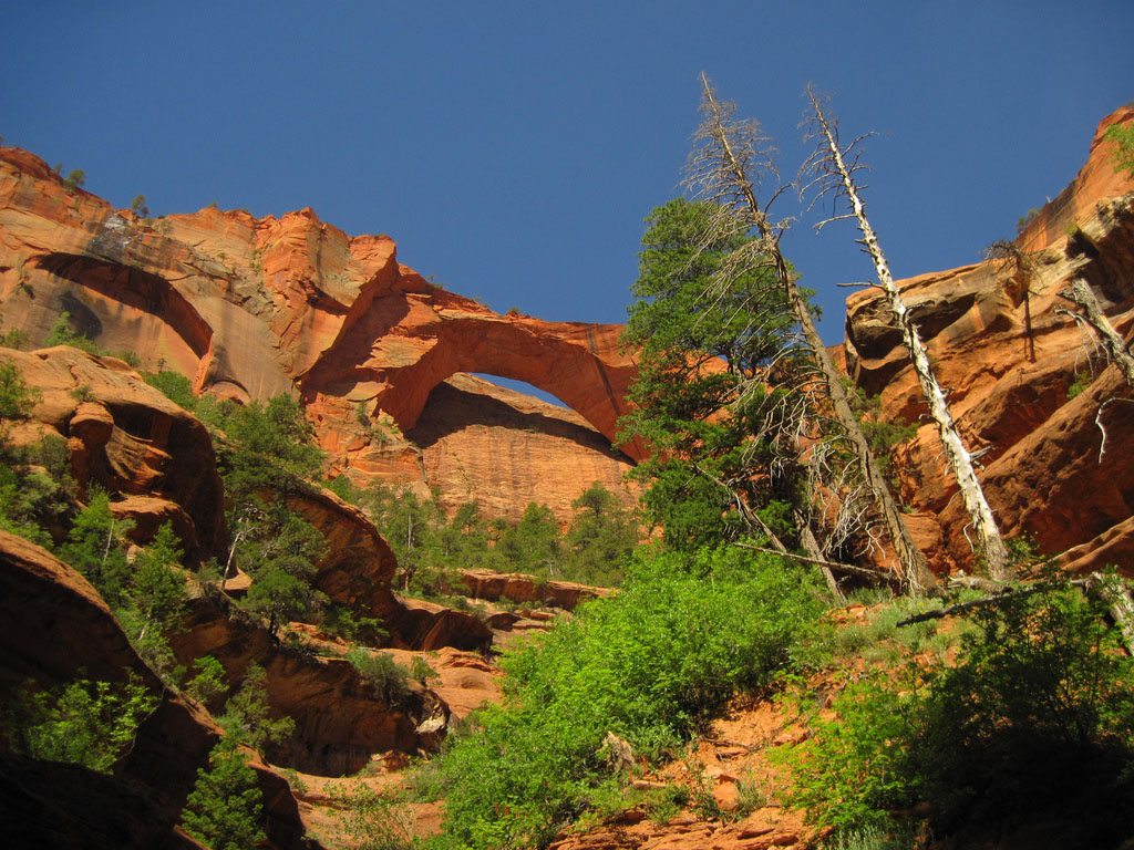 Kolob Arch in Zion National Park