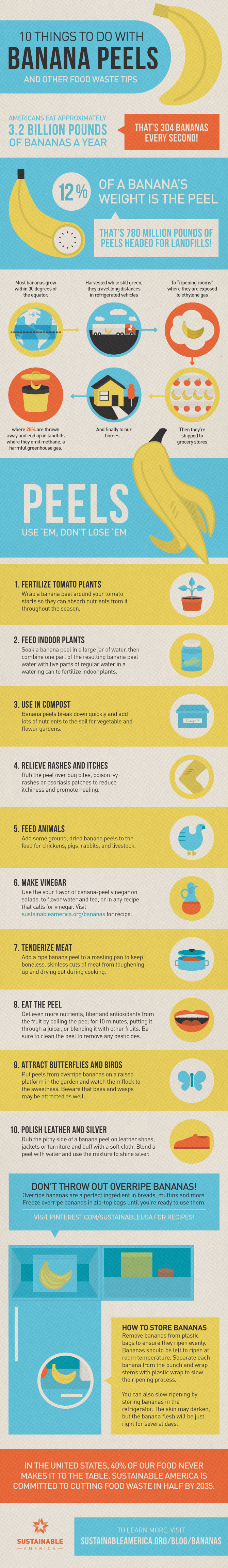 10 Things to Do With Banana Peels Infographic