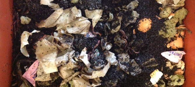 How to Compost at Work