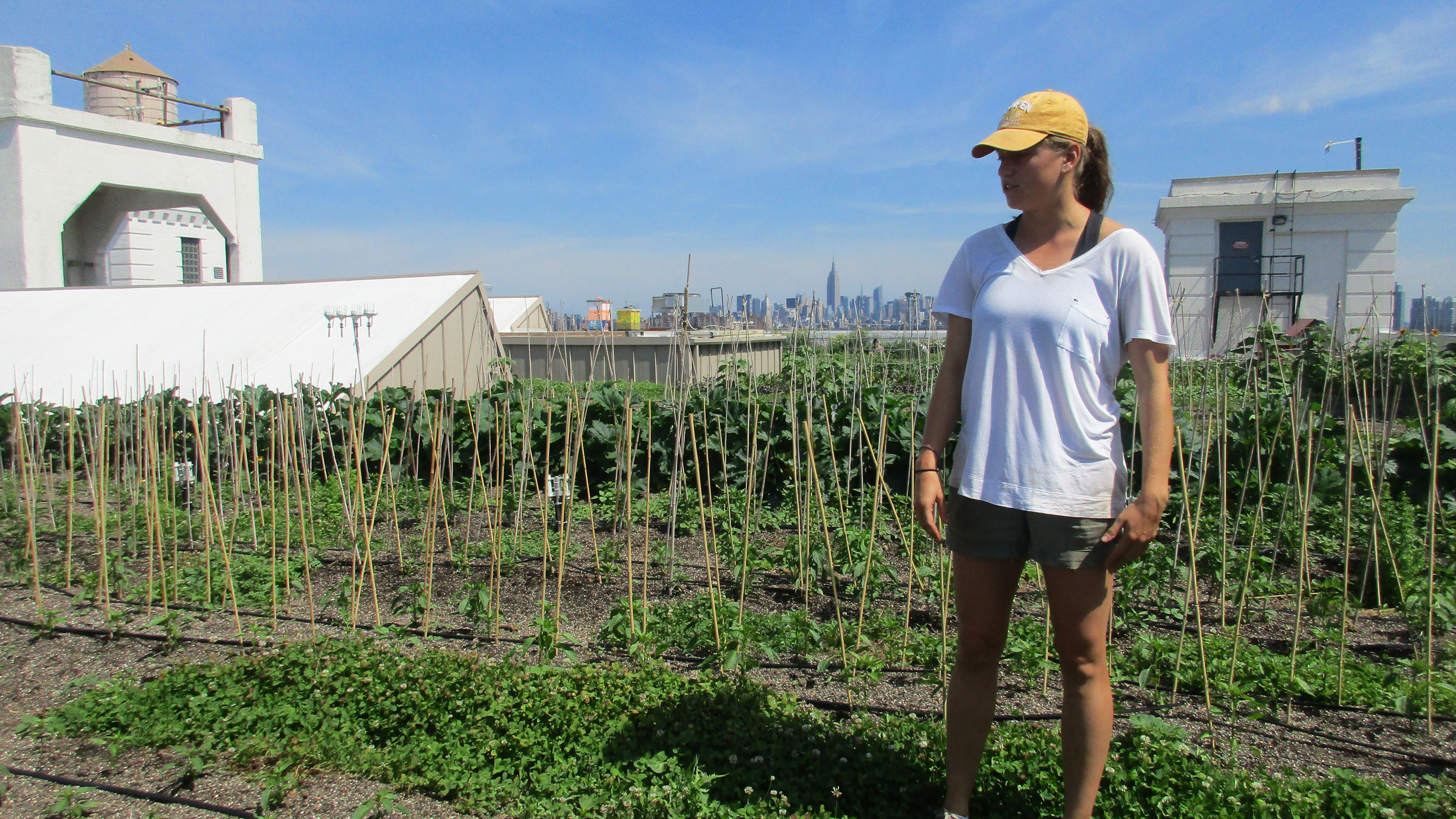 Brooklyn Grange's assistant farm manager Michelle Cashen