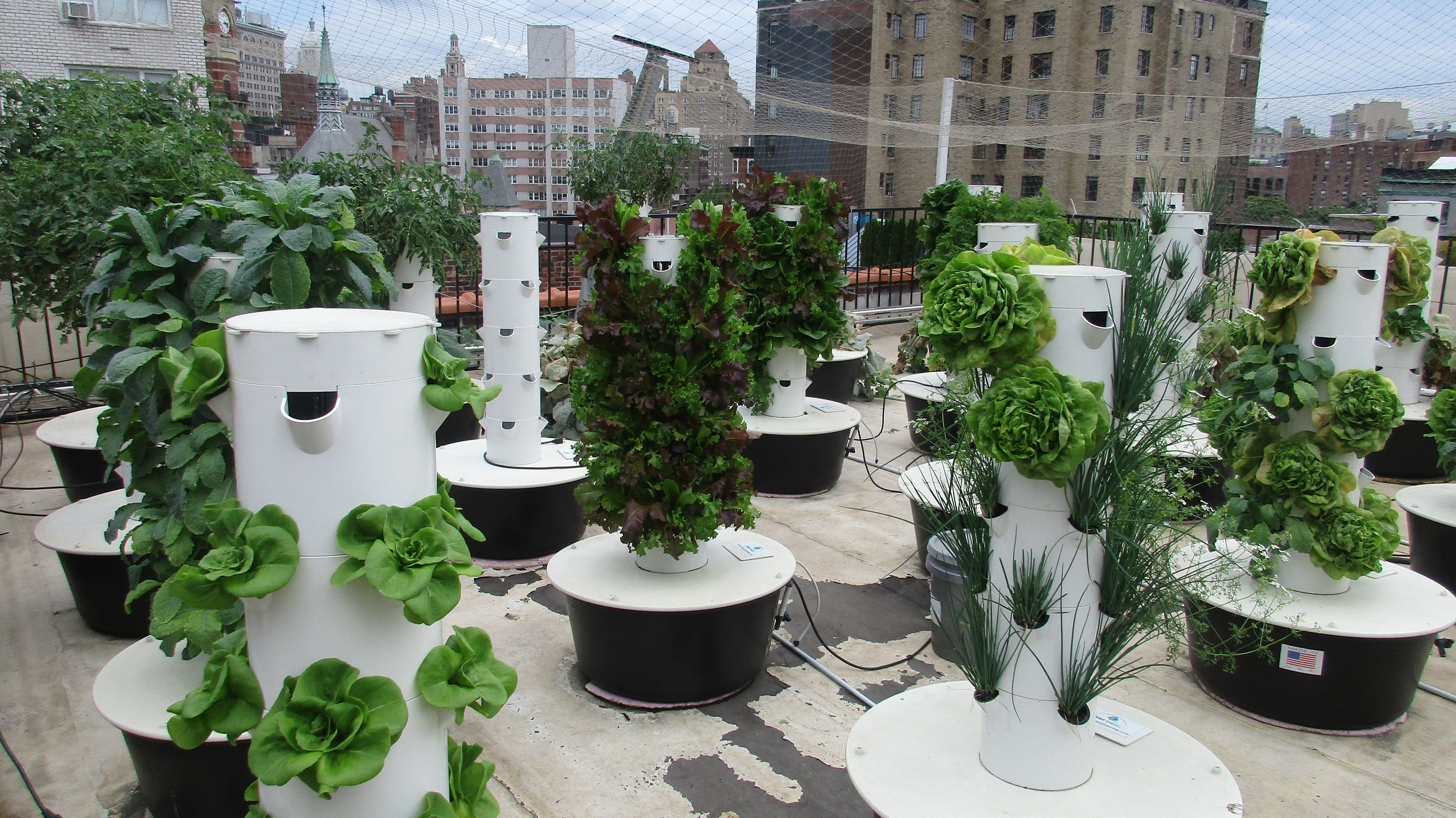 Bell Book and Candle Aeroponic garden