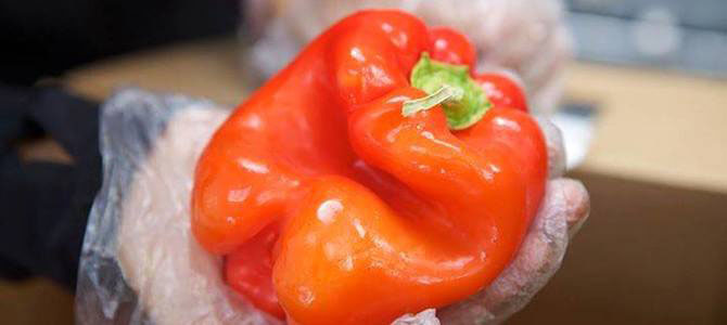 Imperfect Produce: Giving