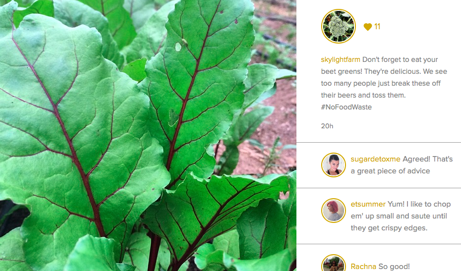 #NoFoodWaste November beet green tip