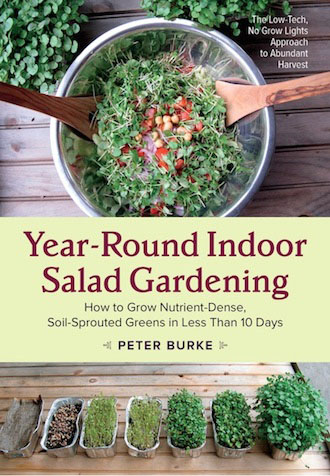 Year Round Indoor Salad Gardening book by Peter Burke