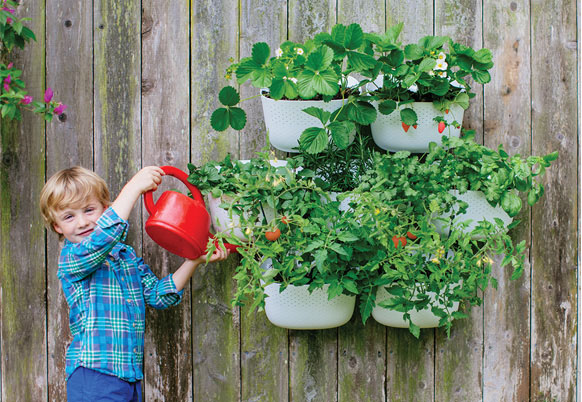Woolly Pocket planters for urban gardens and green walls