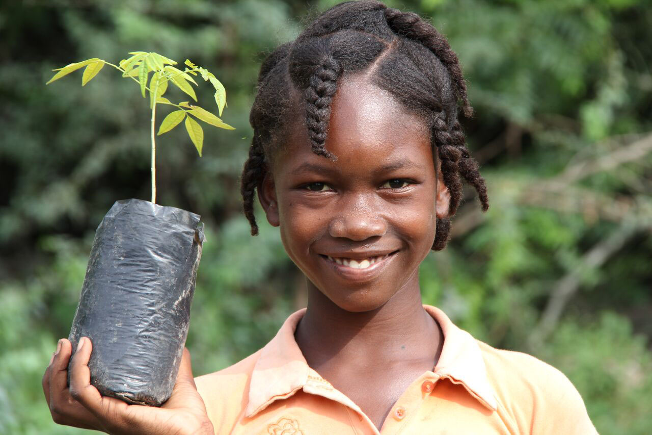 Girl with moringa seedling