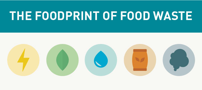 New Study Measures the 'Foodprint' of Food Waste
