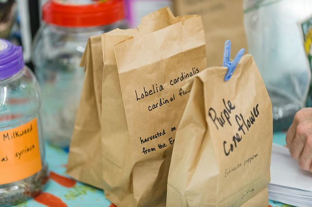 Seeds in bags at a seed exchange