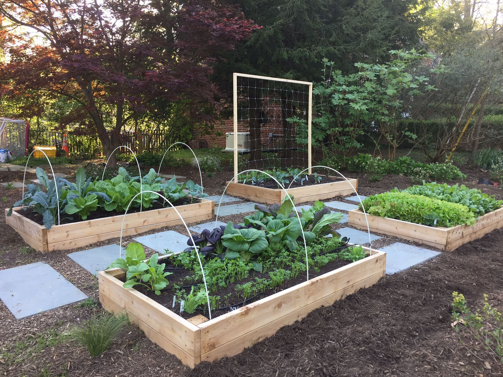 Why You Should Plant a Front Yard Veggie Garden