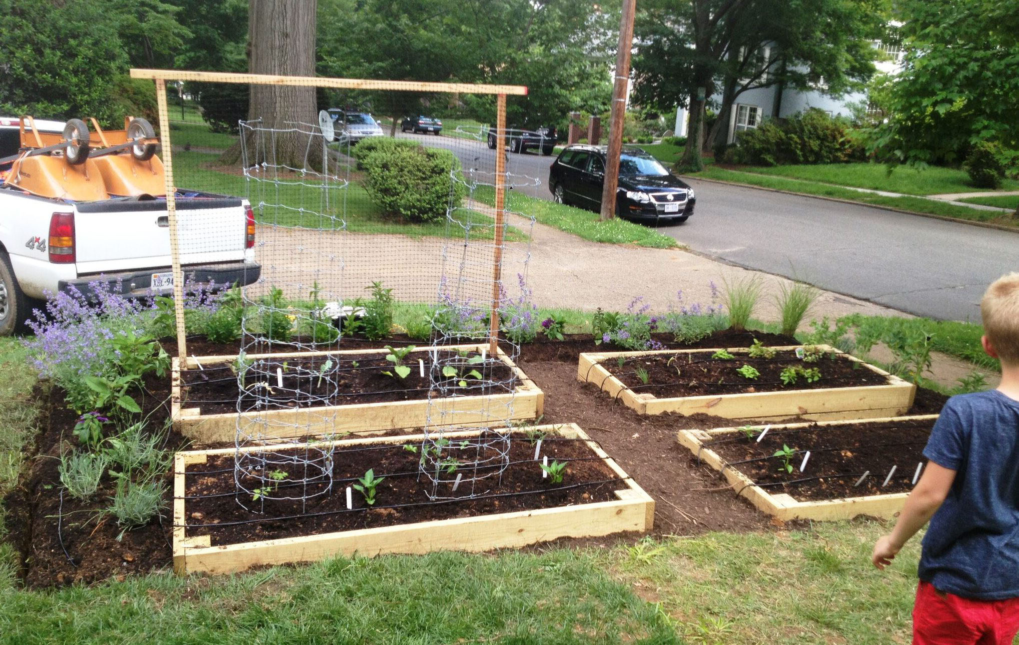 Front yard vegetable garden with herb border