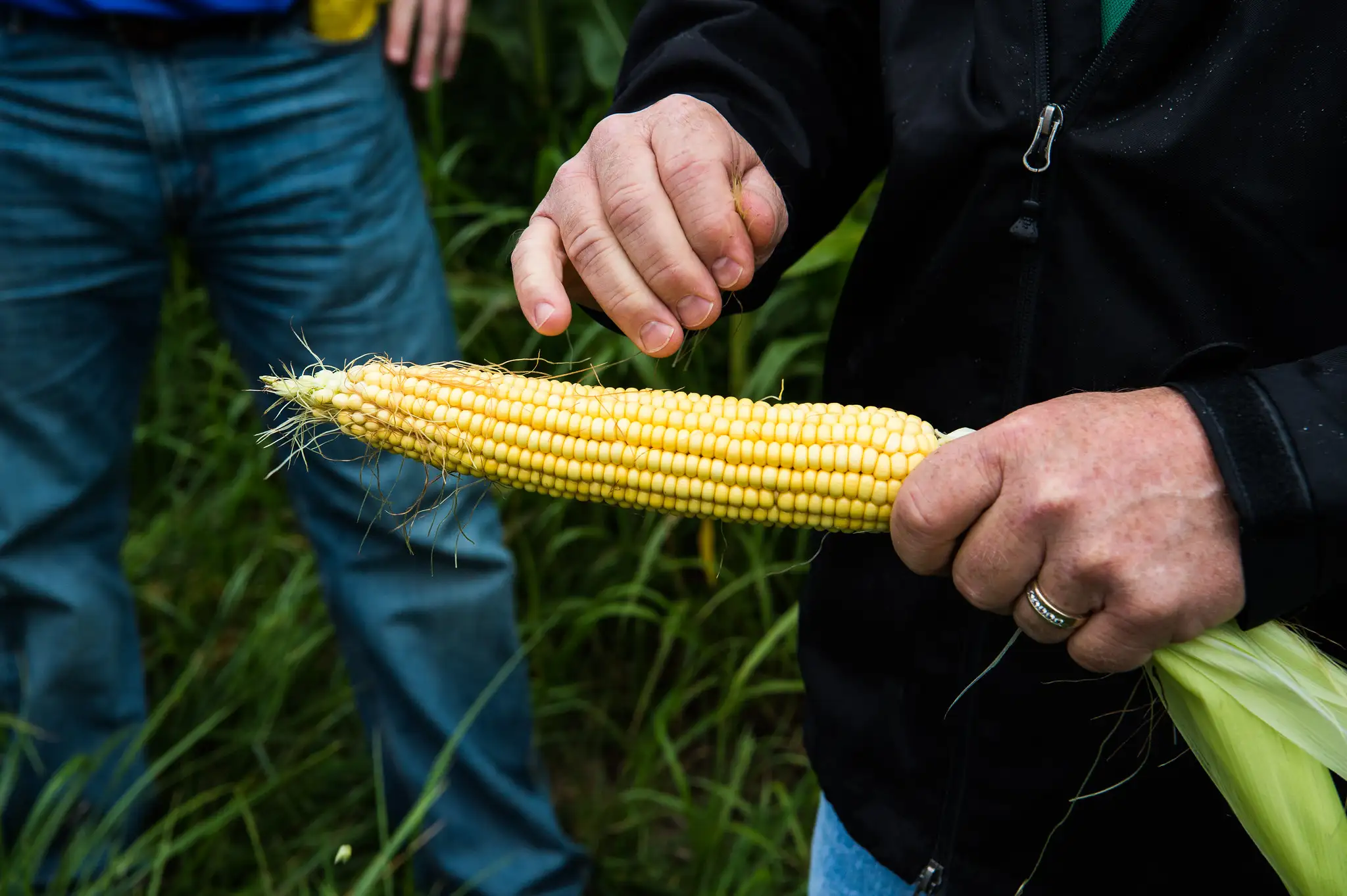 3rd-generation farmer April Hemmes grows corn for ethanol