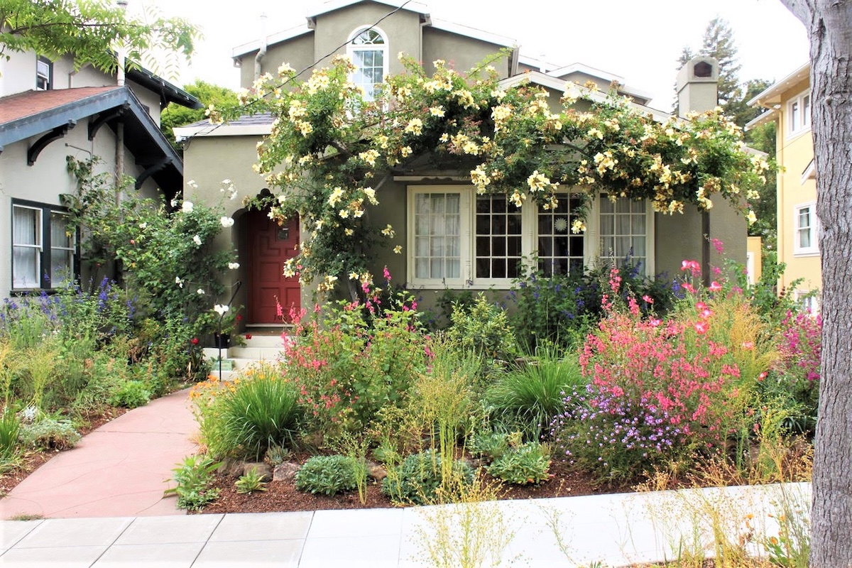Your lawn is a lie: rethinking the American yard