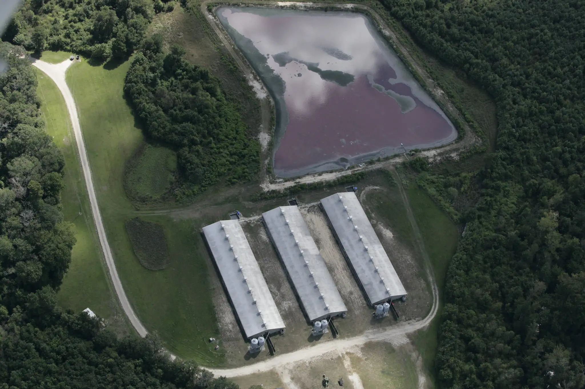 An overhead view of a CAFO, with three large warehouses for hosting animals and a manure lagoon behind.