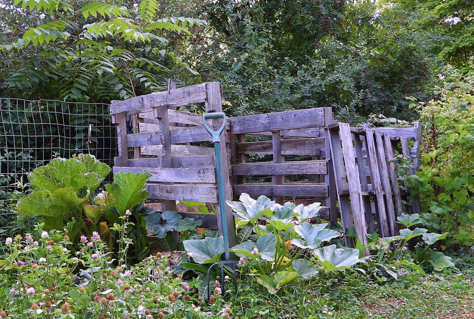 How to Compost No Matter Where You Live: Transforming Food Waste into Gardening Gold 