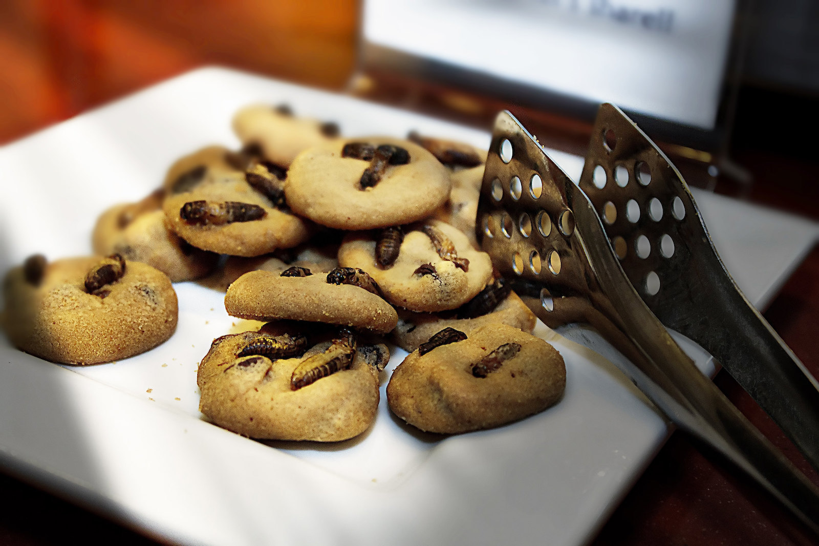 Eating Insects Could Add More Sustainable Protein to U.S. Diets