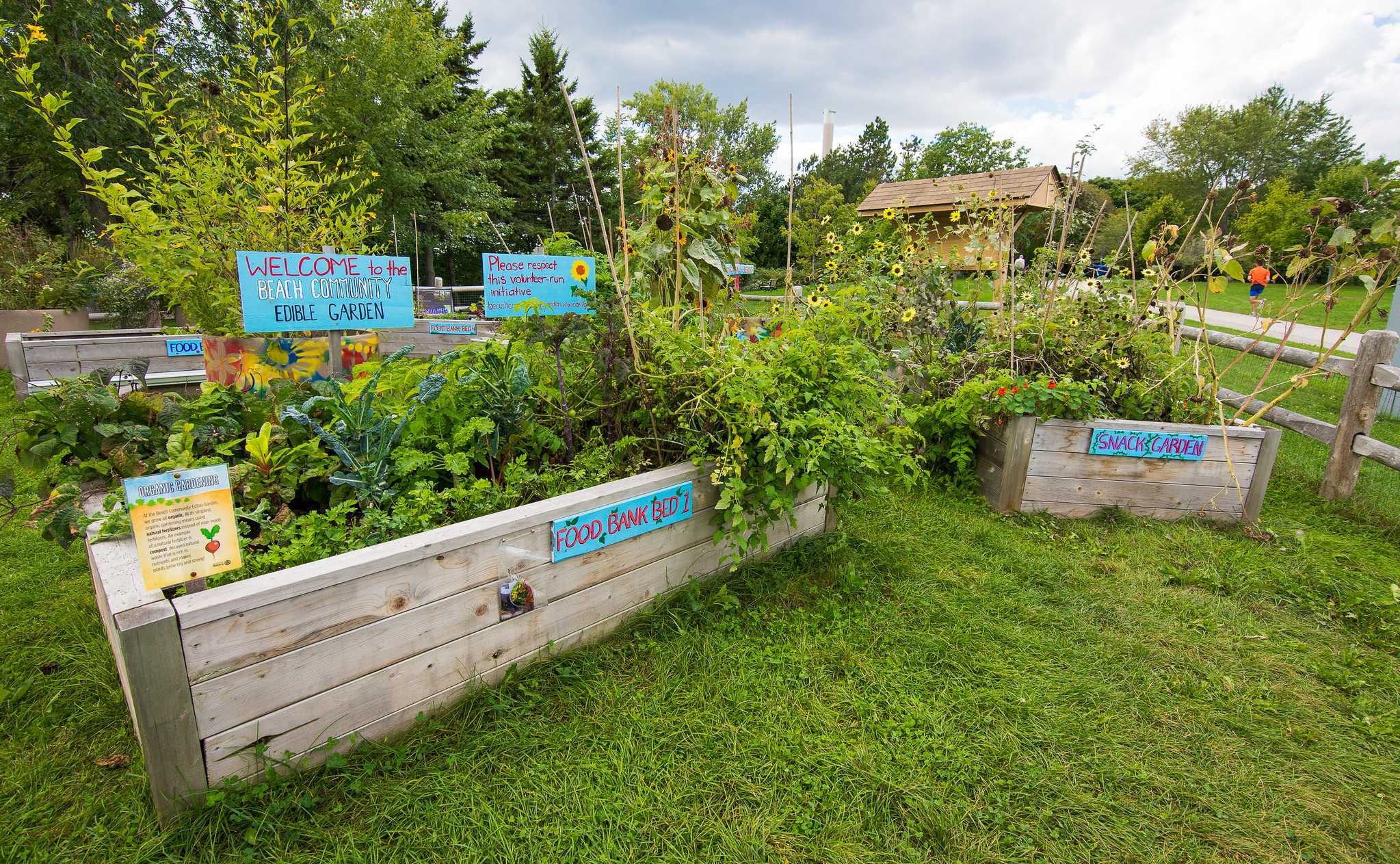 Donation Gardens