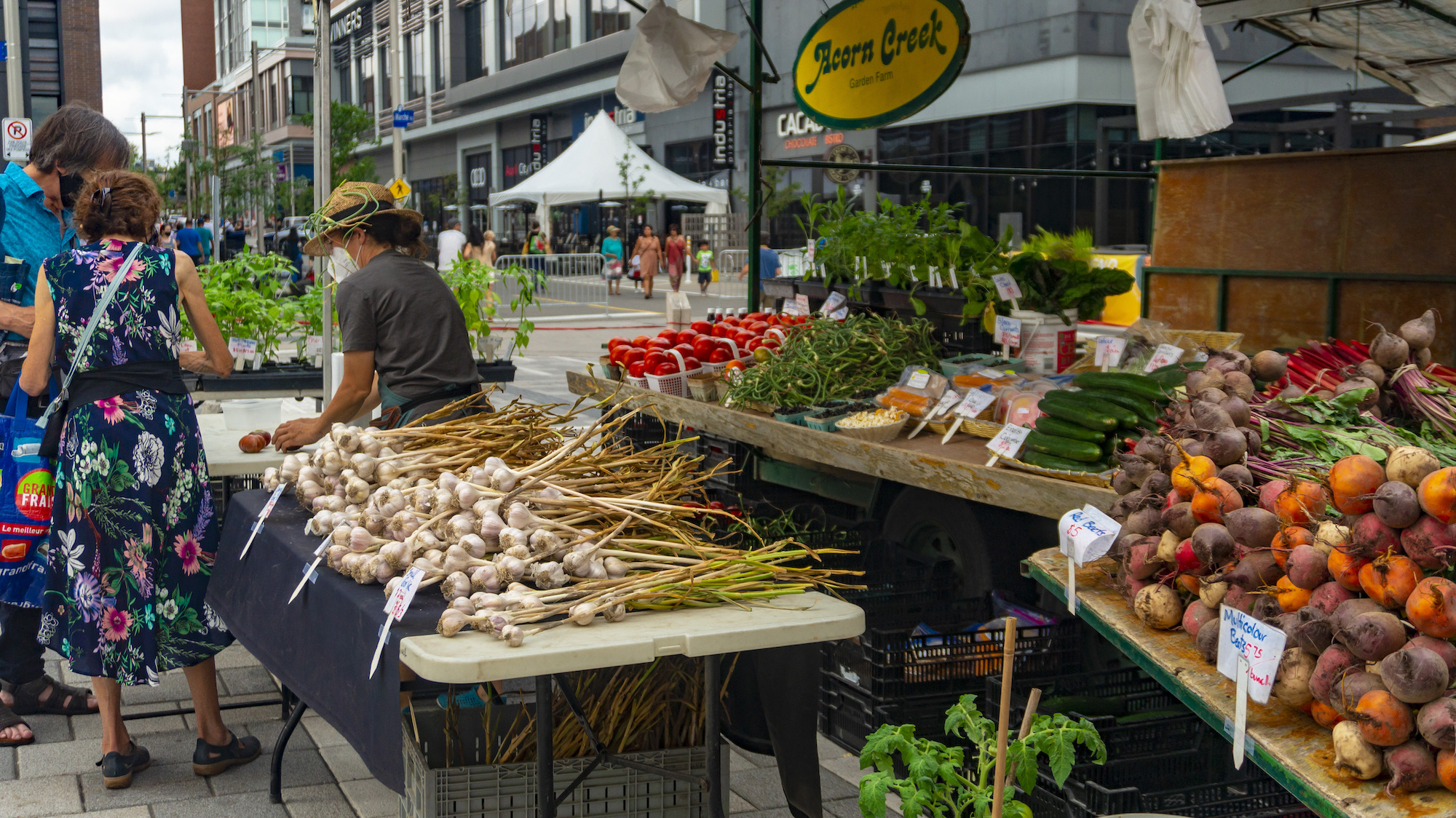 Farmers markets are booming—and growing their role as an essential food source