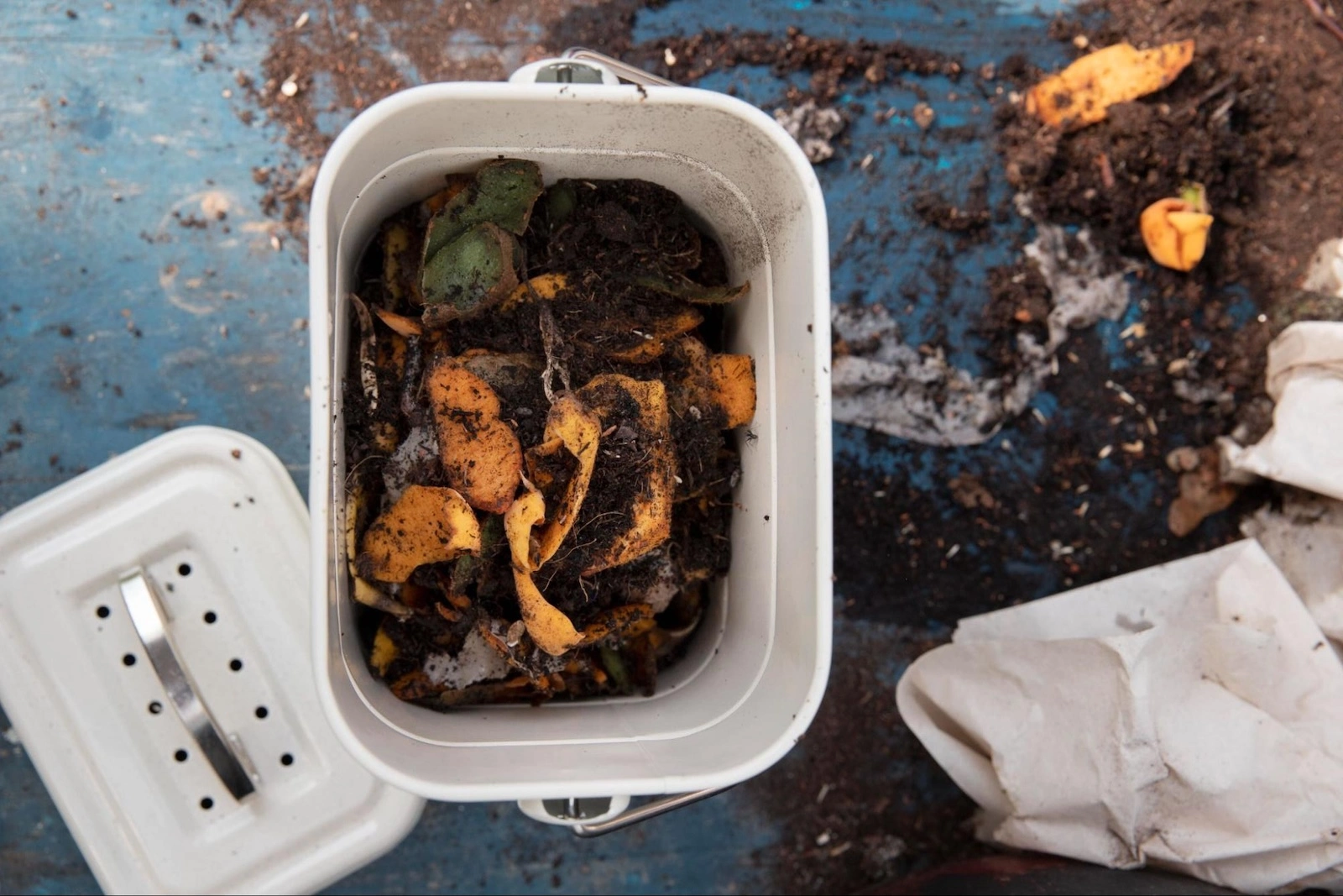 BPI Compostable Commercial and Home