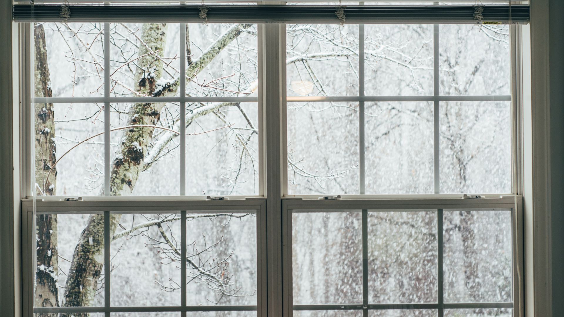 5 Easy Fuel Saving Resolutions for the New Year