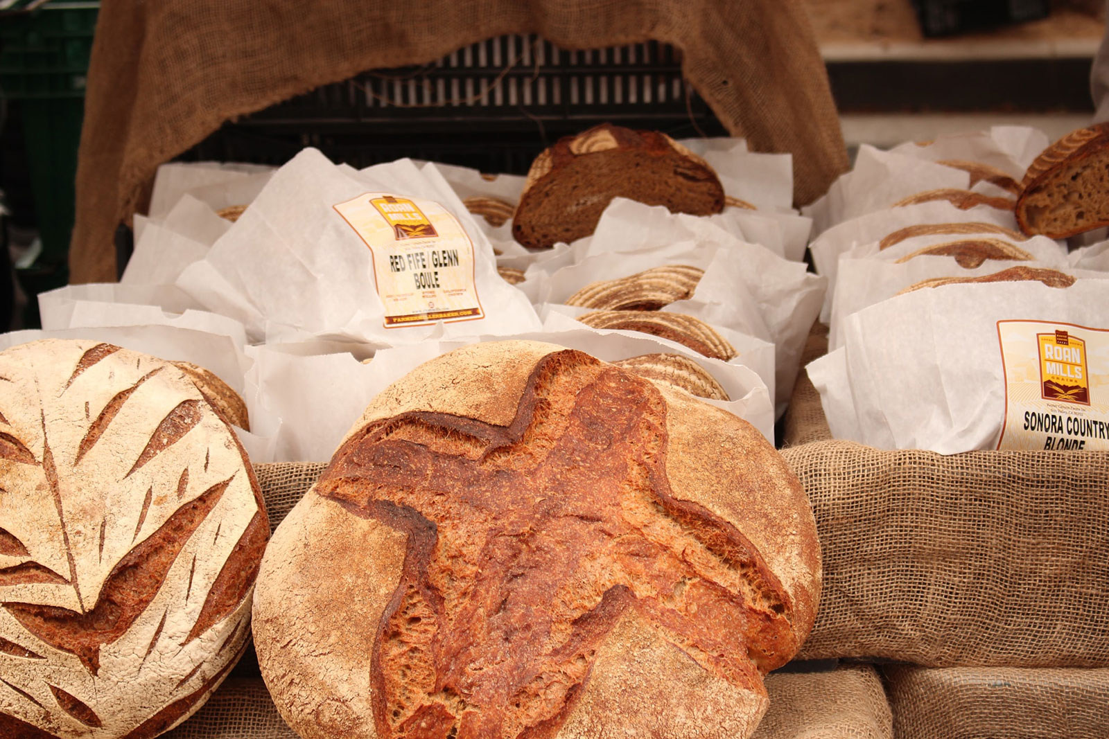 The Low-Waste Wonder of Sourdough Bread