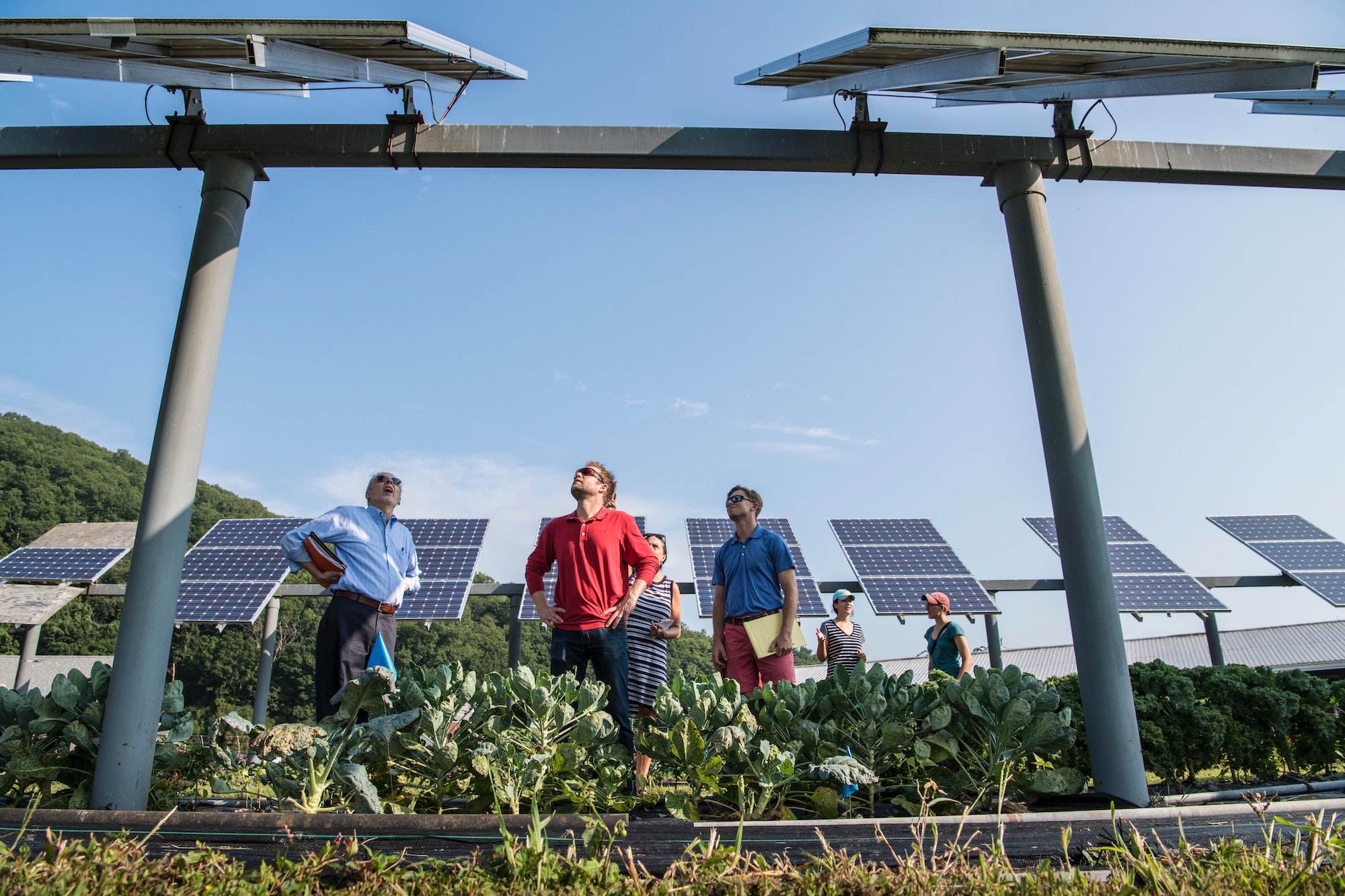Are microgrids the answer to helping rural areas be more sustainable?
