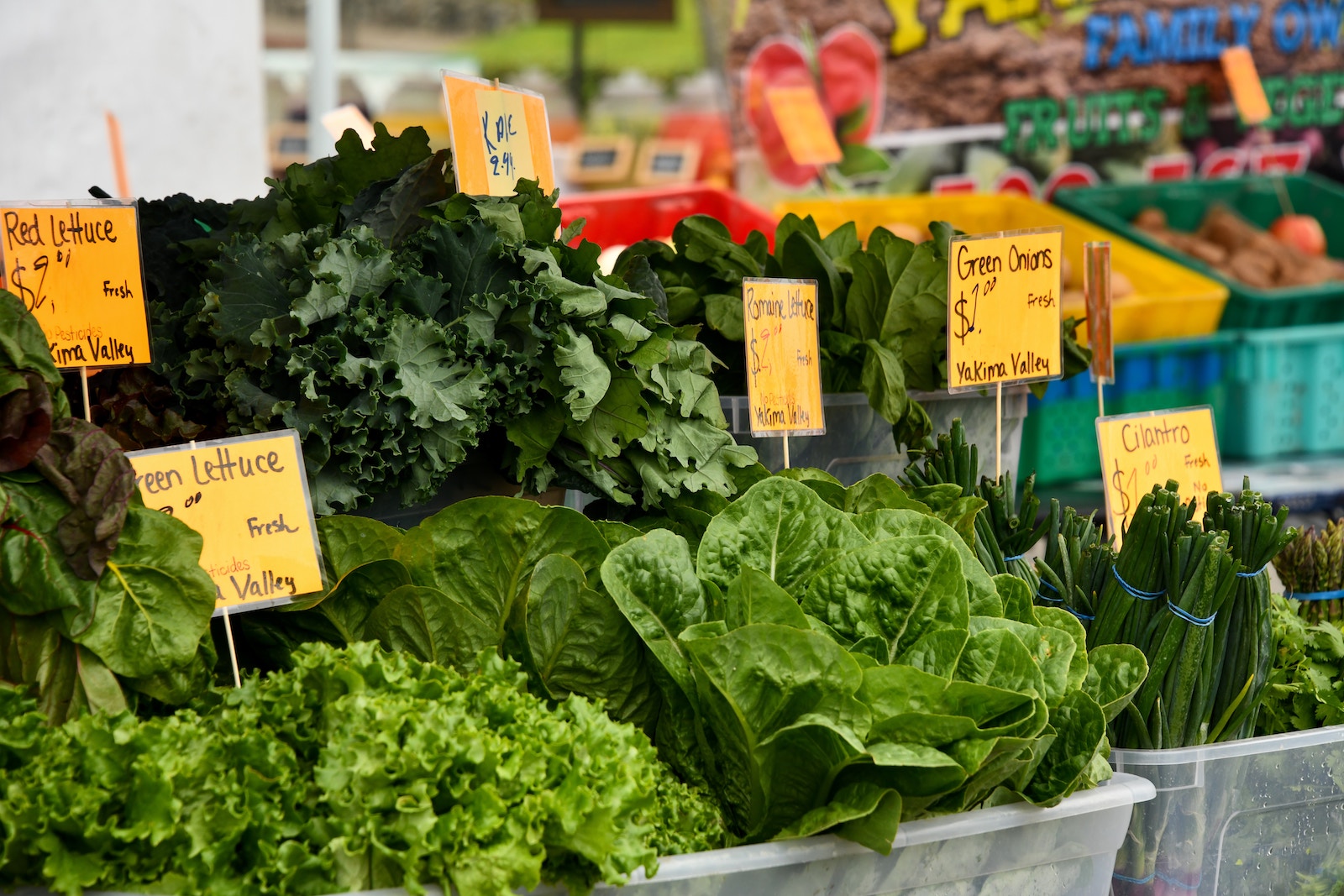 What to Buy at the Farmers’ Market this Spring