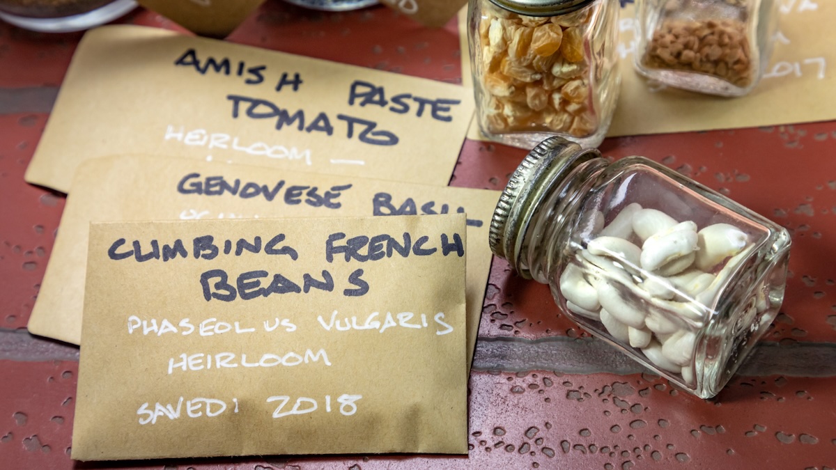 Spring Crops by Planting Zone