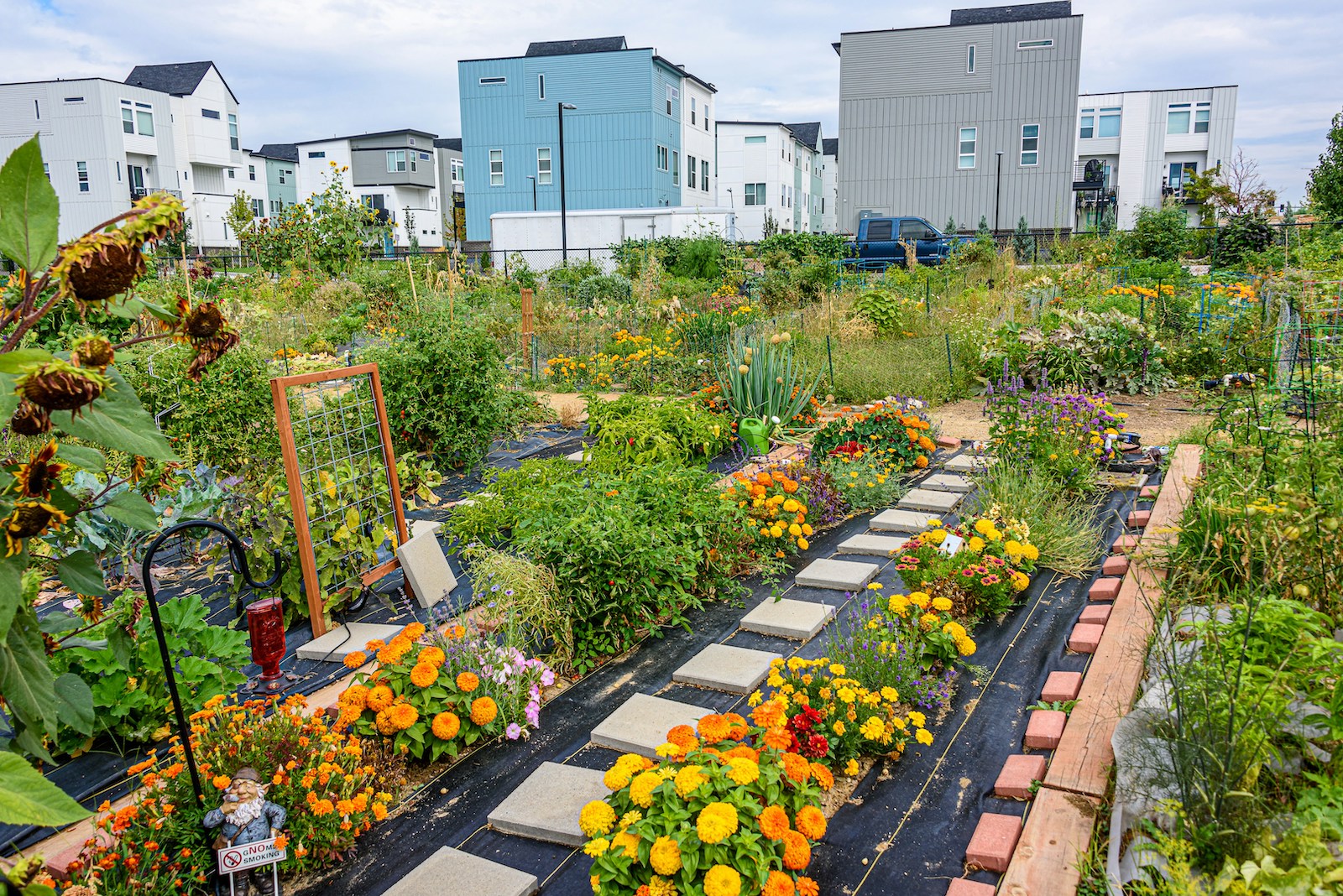 Cultivating Community, Resilience, and a Sustainable Future Through Urban Gardens